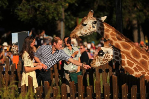 Príncipe George visita el zoológico