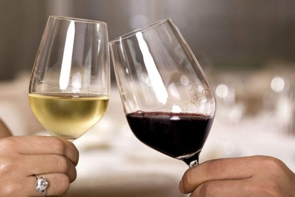 Wine Tour 2019: 5 razones para asistir al evento más esperado por los amantes del vino