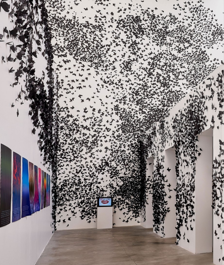 <b>Nube Negra</b> (2007), es una instalación compuesta por treinta mil mariposas negras de distintos tamaños, elaboradas en papel y adheridas manualmente <b>Nube Negra</b> (2007), es una instalación compuesta por treinta mil mariposas negras de distintos tamaños, elaboradas en papel y adheridas manualmente
