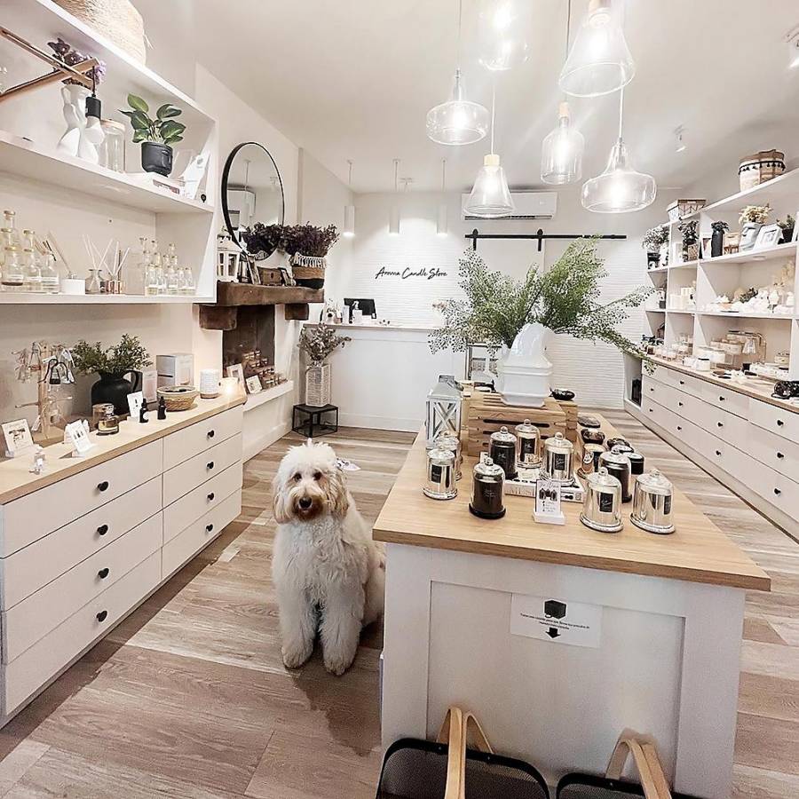 Conoce a Amy Ramos Padgett, el alma de Aroma Candle Store Conoce a Amy Ramos Padgett, el alma de Aroma Candle Store