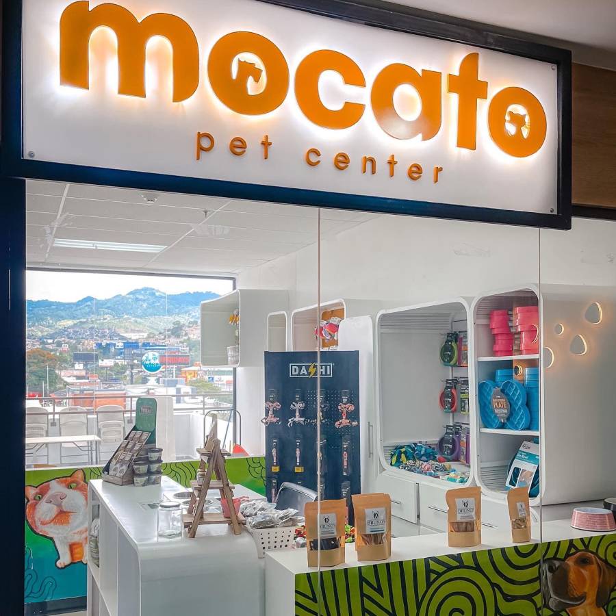 MOCATO: el lugar ideal para los cuidados de tu mascota MOCATO: el lugar ideal para los cuidados de tu mascota