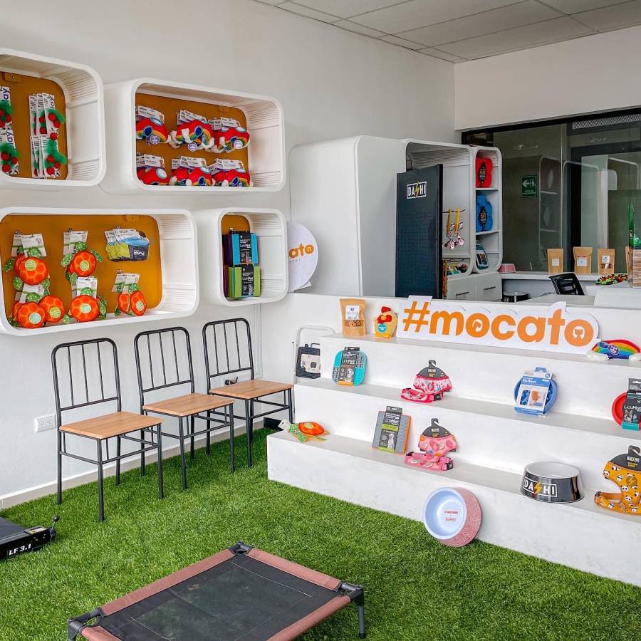 MOCATO: el lugar ideal para los cuidados de tu mascota MOCATO: el lugar ideal para los cuidados de tu mascota