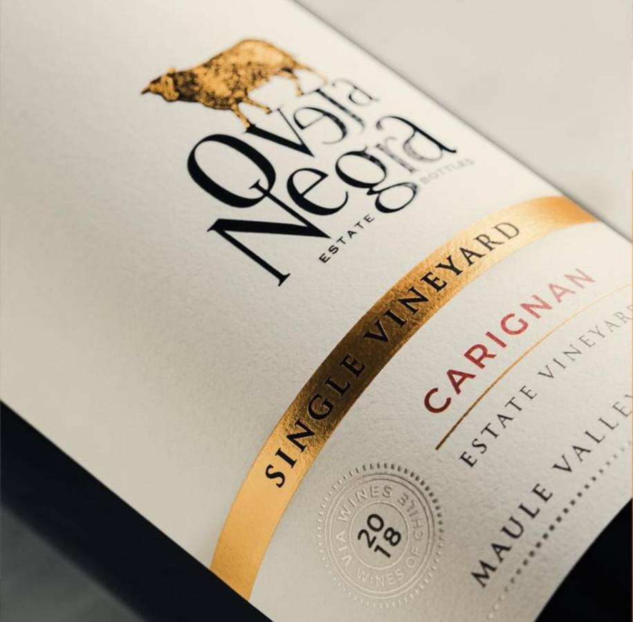 Vinos Oveja Negra, pioneros en el mundo de los blends Vinos Oveja Negra, pioneros en el mundo de los blends