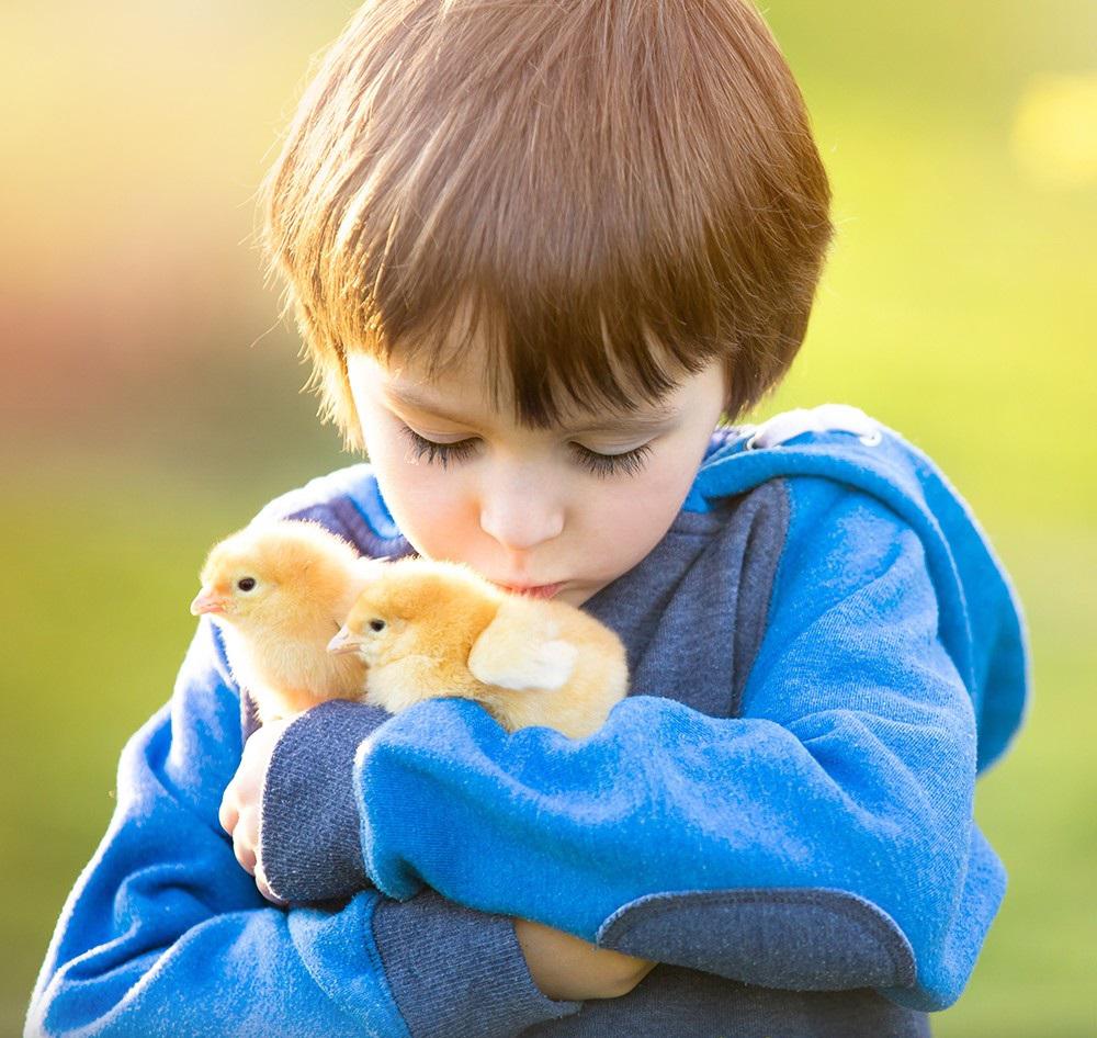 La forma más común de contagio a humanos es el contacto directo con animales y ambientes infectados. 