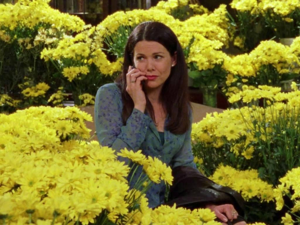 Curiosidades sobre Gilmore Girls