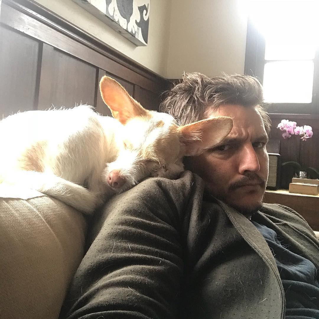 Pedro es un amante de los animales y en sus redes sociales suele publicar fotos con su perro. Su animal favorito es el elefante por ser pacífico e inteligente. 