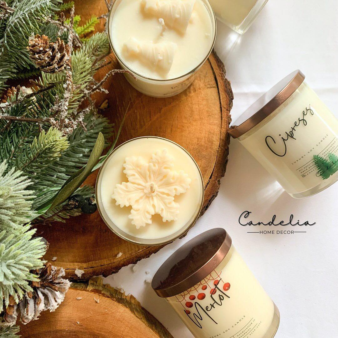 <u><b><a rel="nofollow" href="https://www.instagram.com/candeliahn/">Candelia</a></b></u><b> </b>se distingue por su dedicación en la elaboración artesanal de velas y productos aromáticos naturales. Sumérgete en la experiencia de fragancias envolventes y diseños cuidadosamente confeccionados para agregar un toque especial a tu espacio.