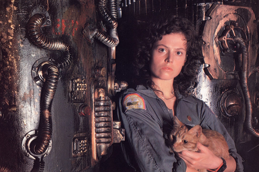 <b>6. Sigourney Weaver</b>Las películas de Alien, a menudo más ciencia ficción que terror, destacan por la presencia de Weaver, en especial por el icónico lema de la original: “En el espacio, nadie oye tus gritos”. Weaver encarnó a Ellen Ripley en cuatro entregas a lo largo de los años.