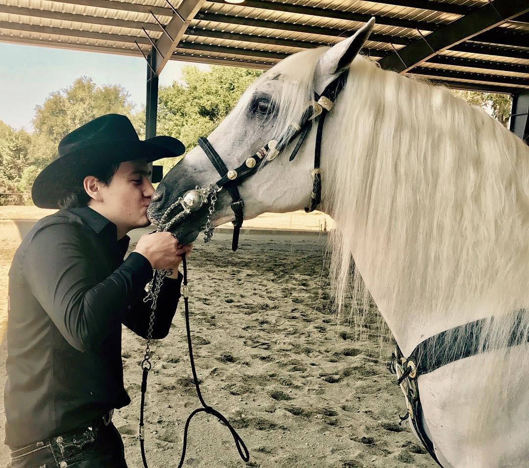 Amante de los caballos