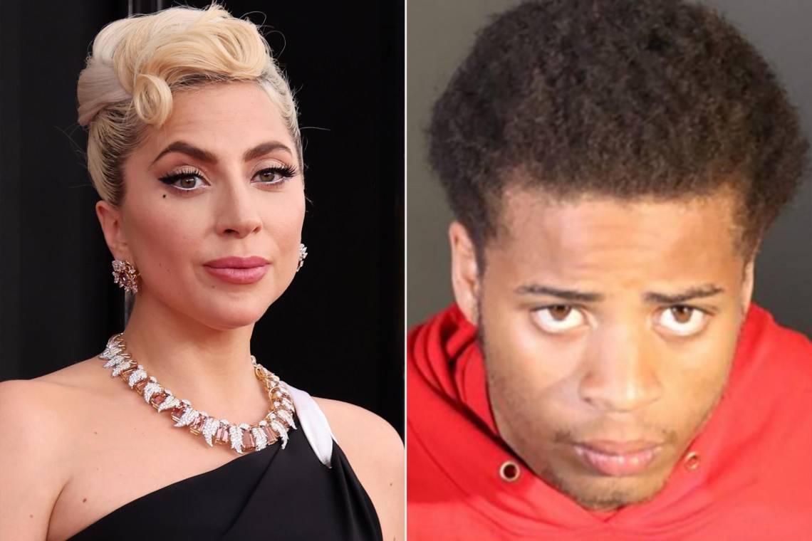 Condenan a 21 años de cárcel a hombre que robó perros de Lady Gaga