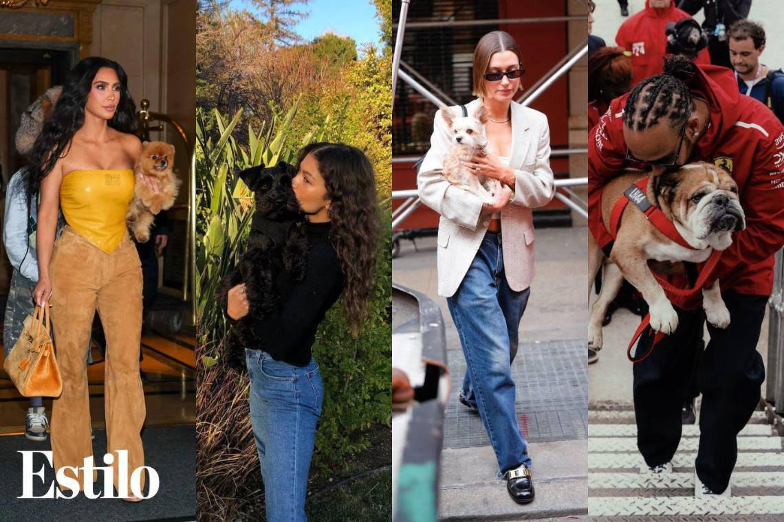 Desde Zendaya con Noon hasta Ariana Grande con Toulouse, es probable que reconozcas alguno de estos perritos por sus célebres dueños, ya sea por sus posts en Instagram o por fotos tomadas por los paparazzi. Así que, si eres amante de los perros, seguro que vas a disfrutar de ver cómo estas estrellas adoran a sus amigos peludos.