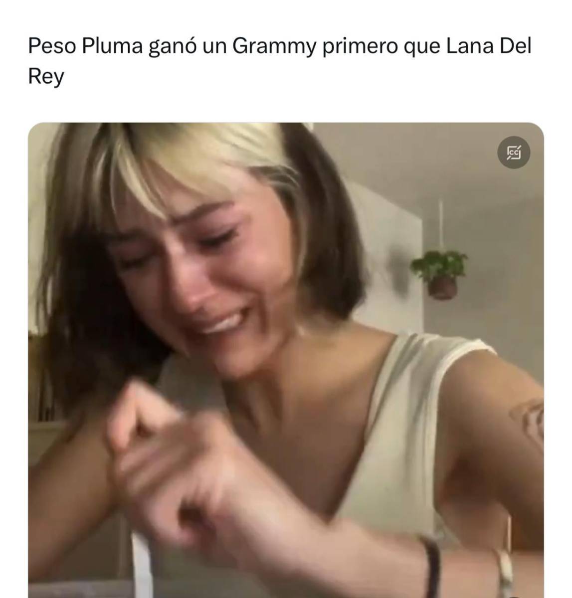 Los mejores memes de los Grammys 2024