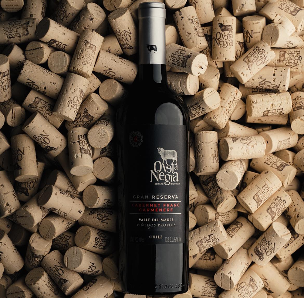 Vinos Oveja Negra, pioneros en el mundo de los blends