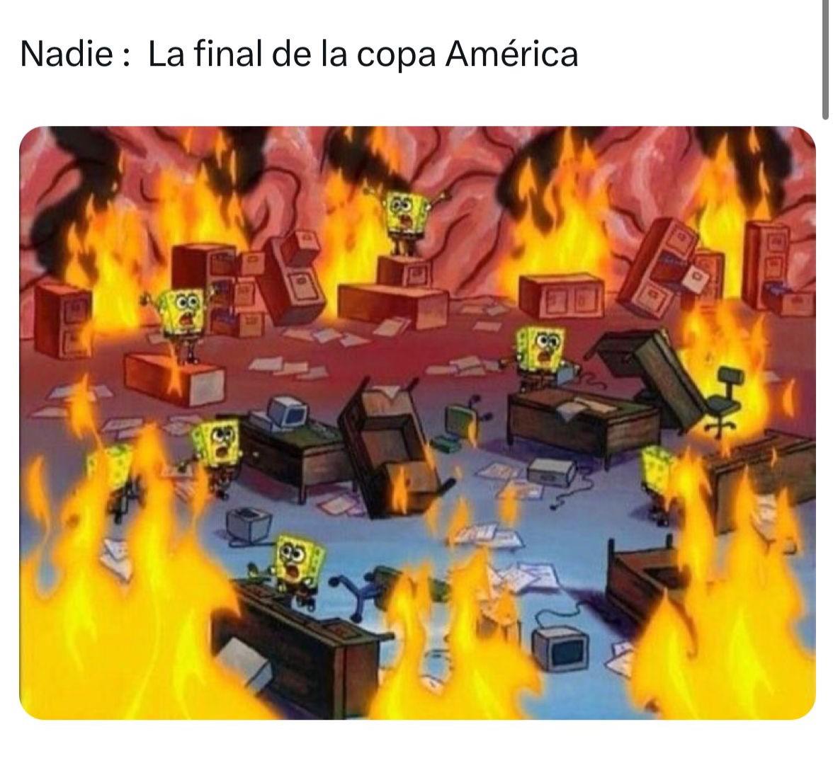 Los mejores memes de la final de la Copa América 2024