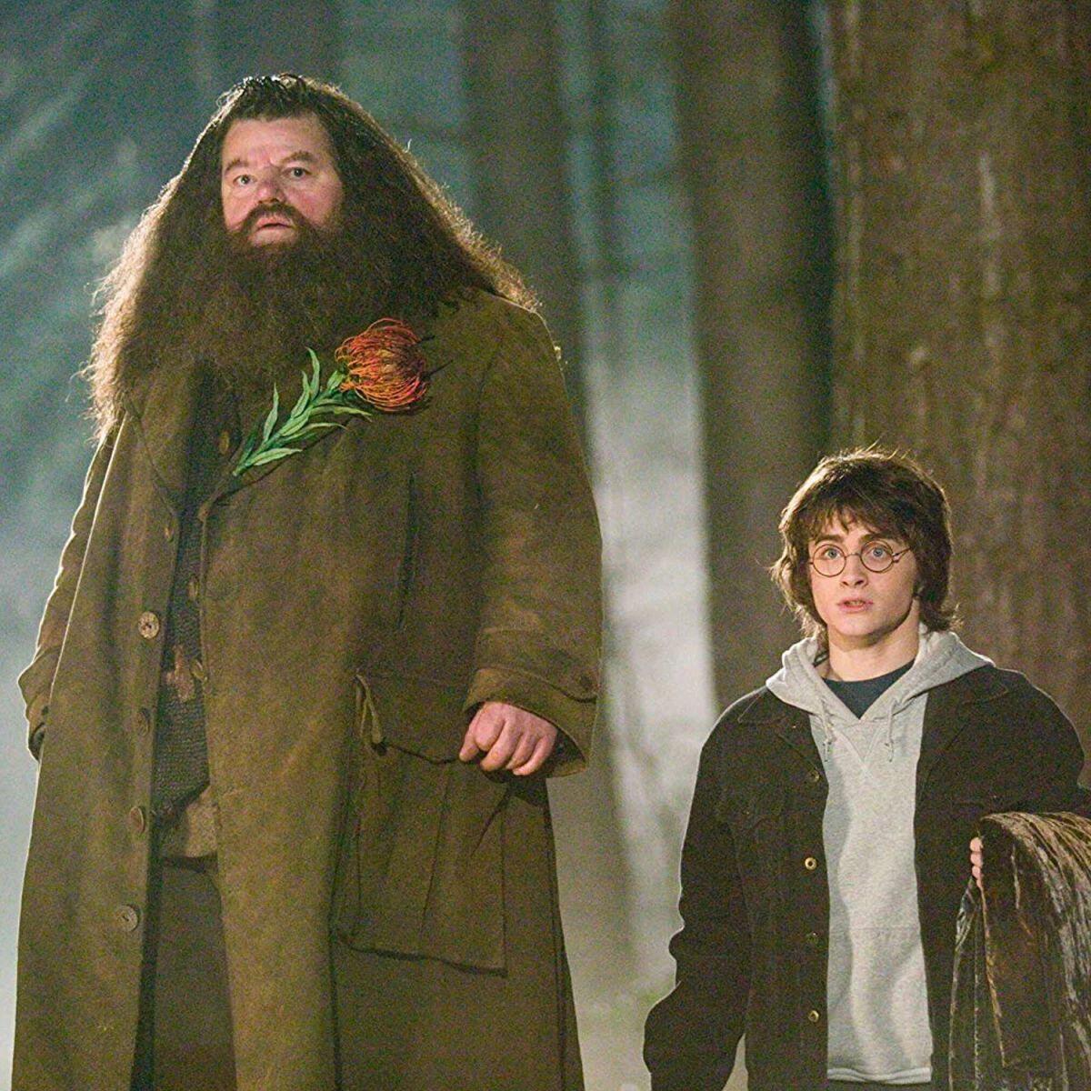 Robbie Coltrane, conocido por interpretar a Hagrid en Harry Potter, falleció de <b>osteoartritis</b> el 14 de octubre a los 72 años.