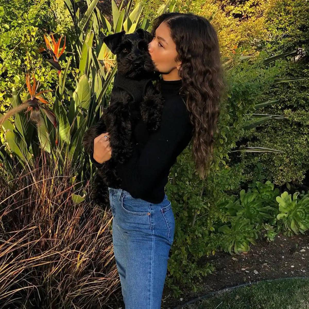Zendaya con su schnauzer miniatura, Noon.