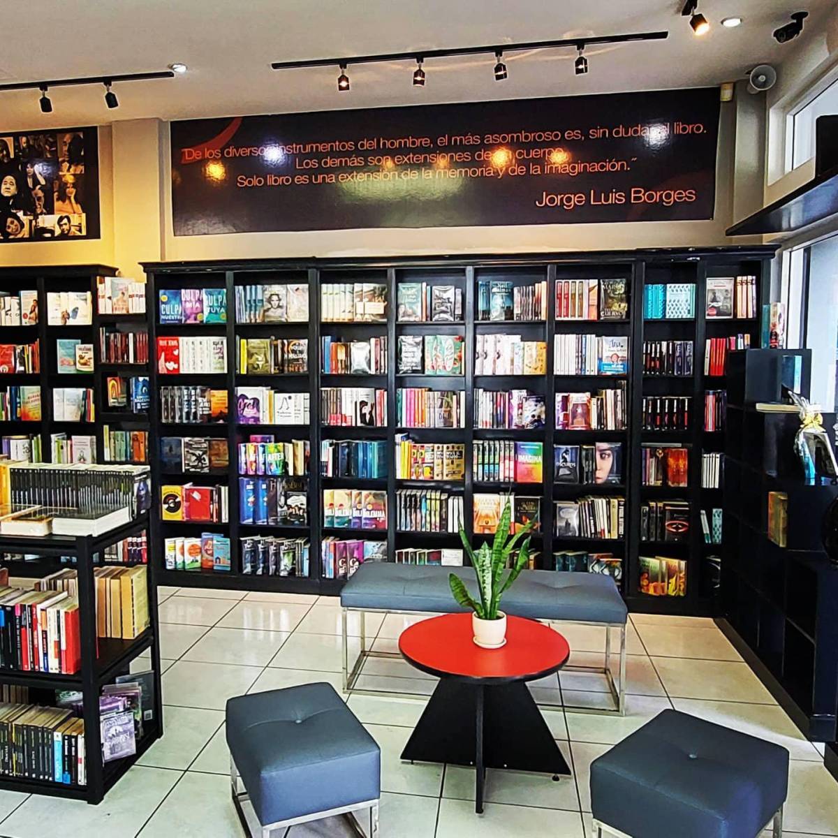 <b>Librería Líser</b>Fue fundada en 1986 con el propósito de contribuir al enriquecimiento cultural y educativo de Honduras. Desde su casa matriz en San Pedro Sula, esta librería ofrece una amplia selección de literatura, textos educativos, útiles escolares y material didáctico. Nacida de una profunda pasión por la literatura se ha convertido en un espacio único donde se puede encontrar algo para todos: desde novelas, clásicos y poesía hasta libros de psicología, autosuperación, historia, arte, diseño, cómics y literatura hondureña.