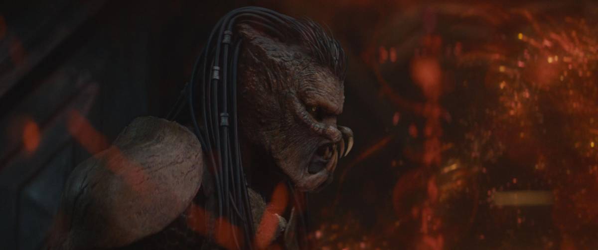 Depredador está de regreso