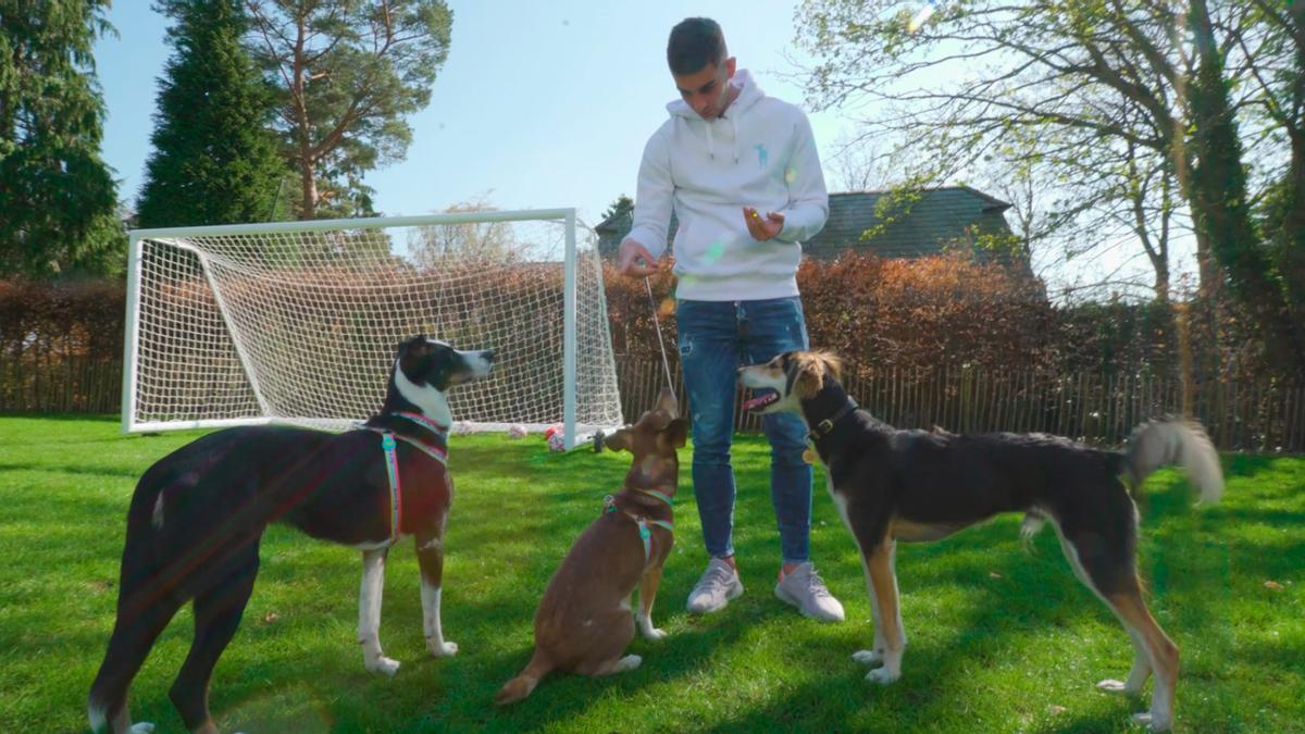 Ferran Torres, el nuevo campeón del mundo, es rescatista de perros