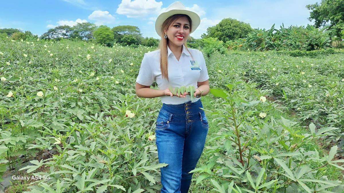 Hebron: impulsando la okra hondureña