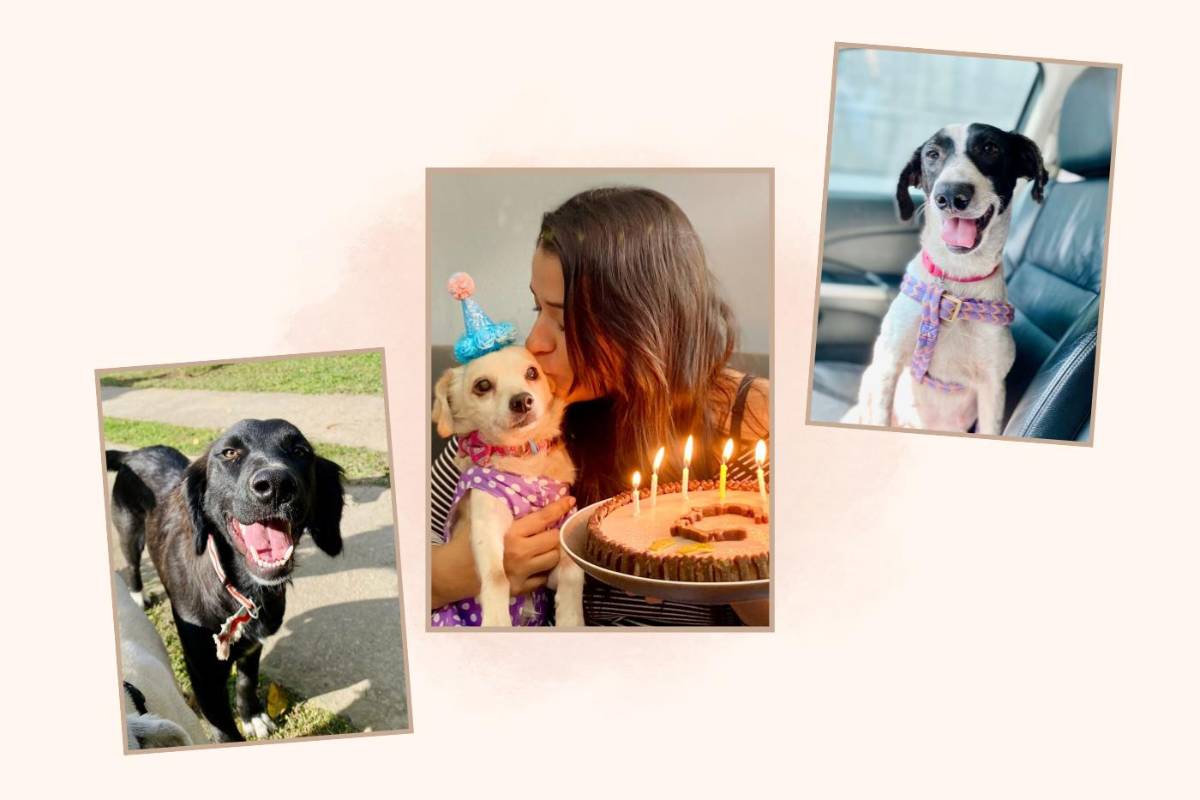 Salvando Huellas CLOBI: un refugio de esperanza para animales callejeros