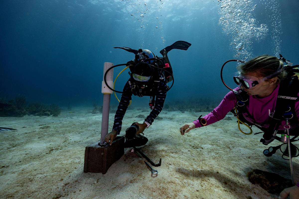 Foto Héctor Martínez