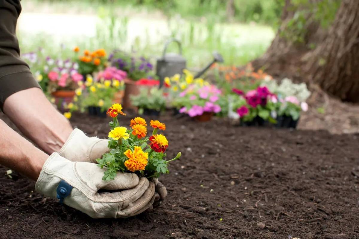 5 hobbies para mejorar tu salud mental