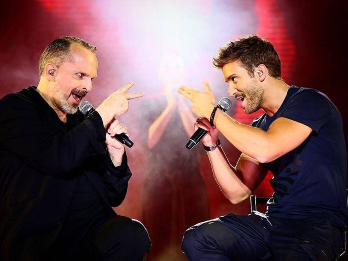 ¿Miguel Bosé y Pablo Alborán son novios?