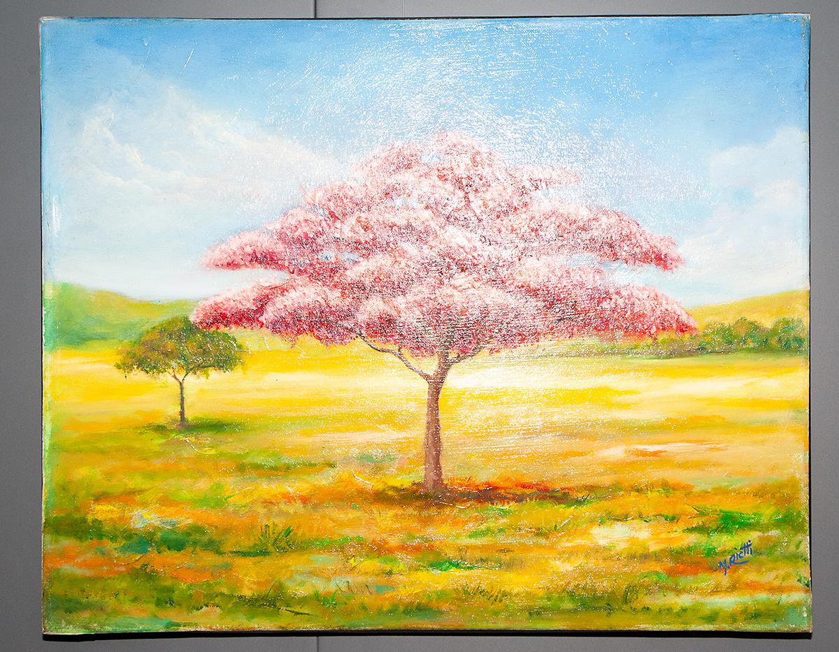 Exposición “Tierra de Pan Llevar” de Marco Rietti