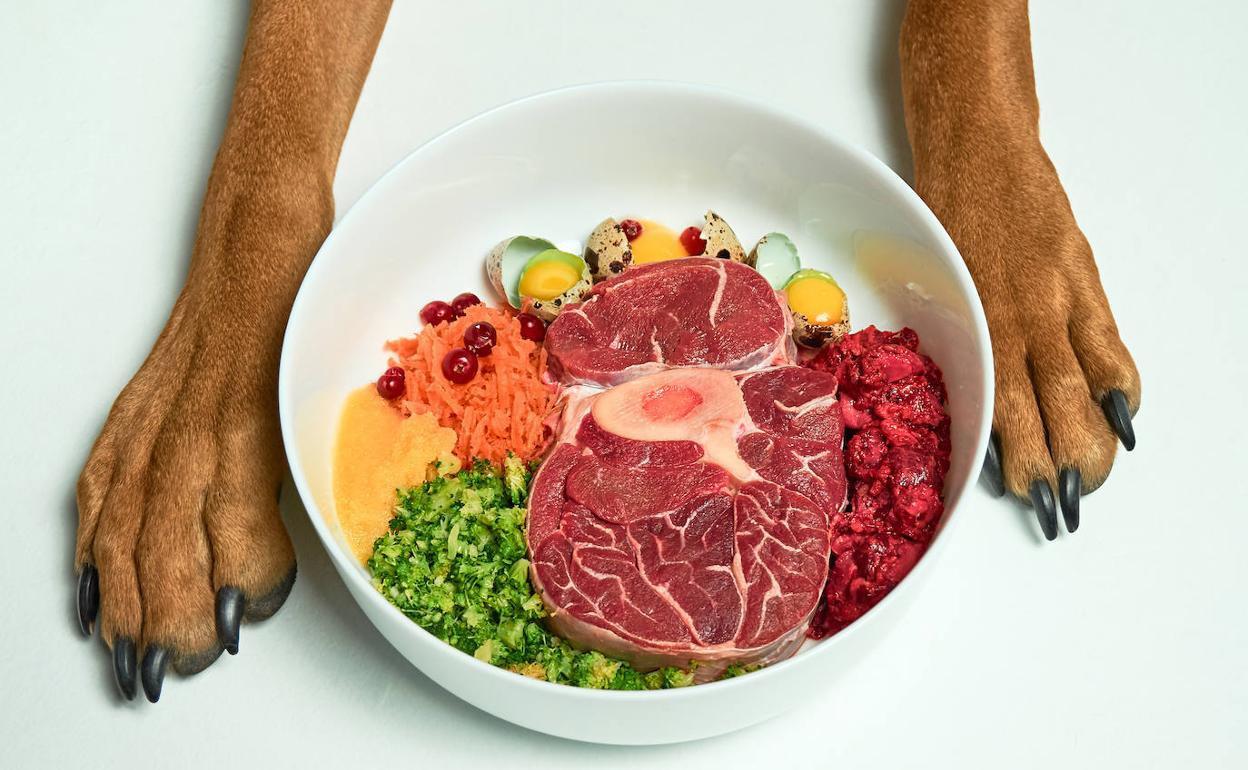 Alimentación balanceada. Una dieta adecuada es fundamental para la salud de tu perro. Proporciona alimentos de calidad y asegúrate de cumplir con las necesidades nutricionales específicas de su edad, tamaño y nivel de actividad.