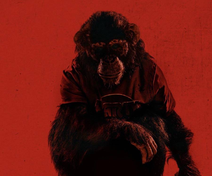 <i>Primate </i>se perfila como una de las primeras grandes experiencias cinematográficas del año, ideal para quienes buscan emociones fuertes y una historia que juega con nuestros miedos más primitivos.