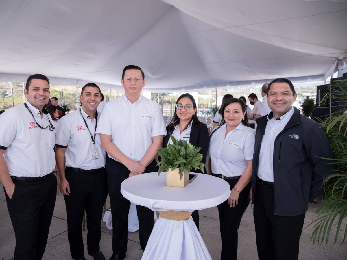 Julio Cesar Midence Zuniga, Raul Enrique Banegas Medina, Gabriel Alfonso Urquia Maldonado, Iris Amelia Ordoñez Aguilar, Jacquelinne Borjas Colindres, Álvaro Serrano Alvarado.