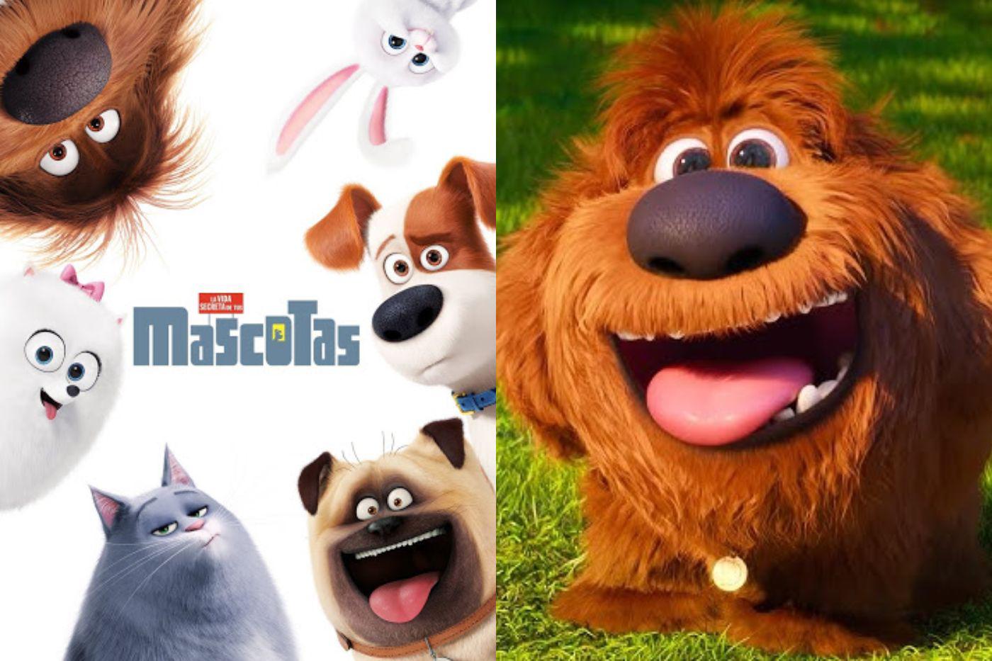 <b>La vida secreta de tus mascotas</b>Max es un terrier mimado que disfruta de una vida cómoda en un edificio de Nueva York hasta que su dueño adopta a Duke, un perro gigante e indomable. Durante un paseo, se topan con un grupo de feroces gatos callejeros y terminan en un camión que los lleva a la perrera