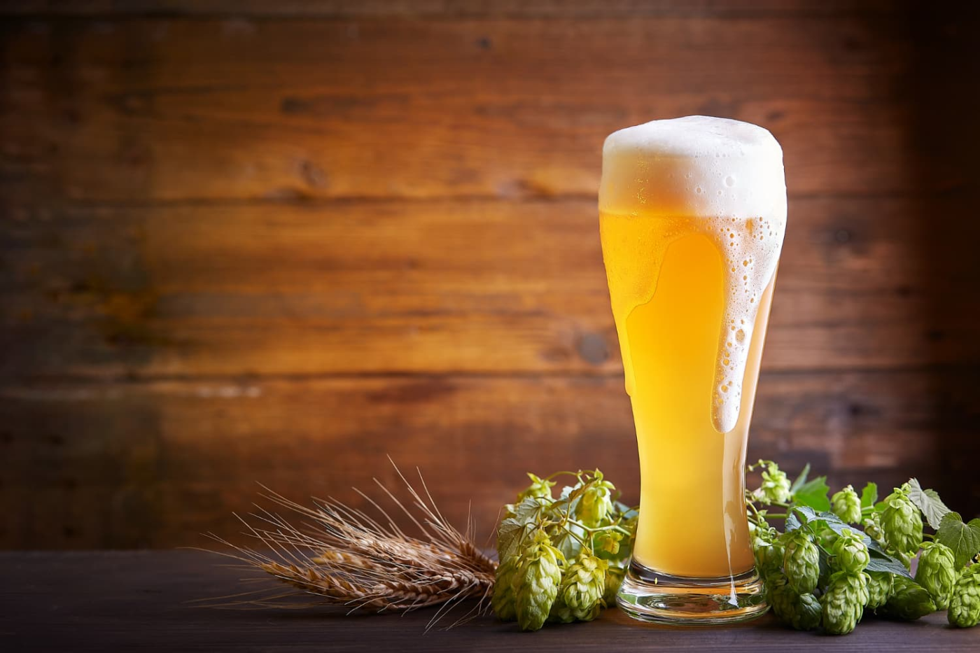 <b>Lager</b>, es un tipo de cerveza que se caracteriza por fermentar a temperaturas más bajas, utilizando una cepa de levadura específica llamada Saccharomyces pastorianus. Esto produce una cerveza con un perfil de sabor más limpio y suave, con menos notas frutales y más enfocado en el malteado y el equilibrio entre amargor y dulzor. Las cervezas Lager suelen tener un color dorado claro a ámbar y son conocidas por su claridad y refrescante sabor.