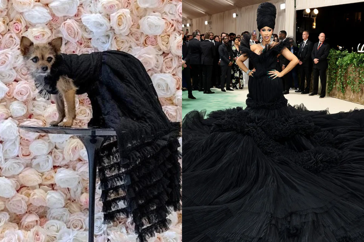 Un Chorkie lució una recreación del look de Cardi B en la Met Gala.