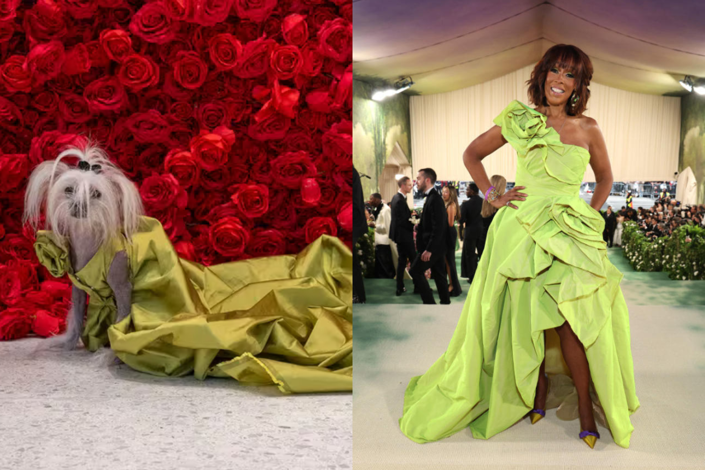 Suki, una crestada china vestida como Gayle King.