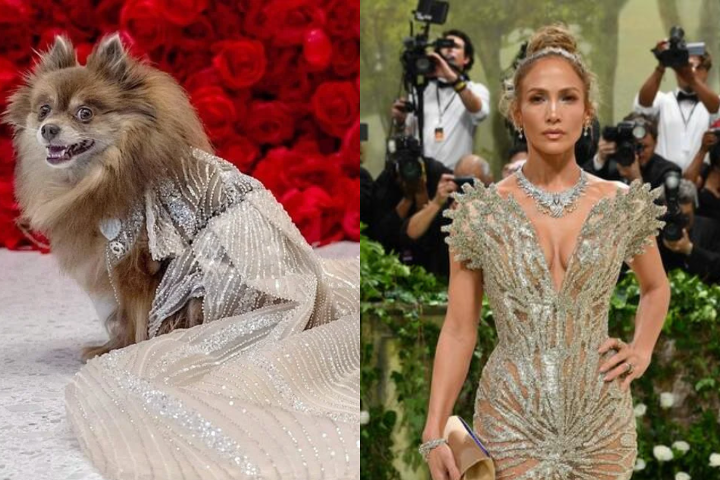 Un perro llamado Daffodil dio vida al look de Jennifer López en la alfombra de Pet Gala.