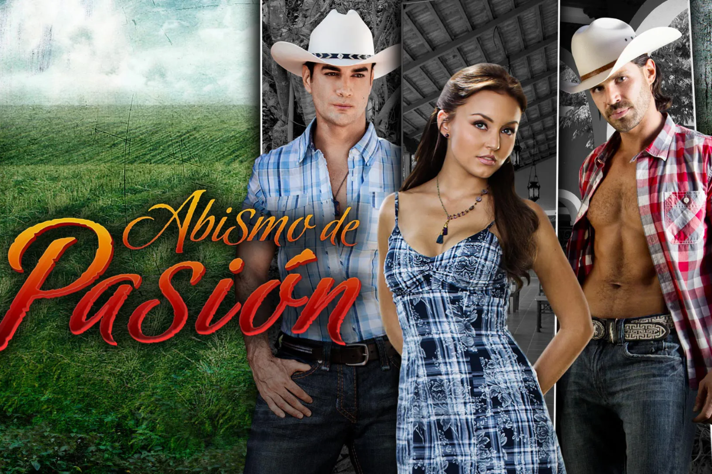 <b>Abismo de Pasión </b>En este melodrama, Boyer, como Elisa Castañón, nos cuenta cómo su vida se ve afectada tras el amorío de su madre con el esposo de su mejor amiga, evento que termina con la muerte de ambos. Esta novela recibió múltiples nominaciones en los premios TVyNovelas, con un rating similar al de Teresa. 