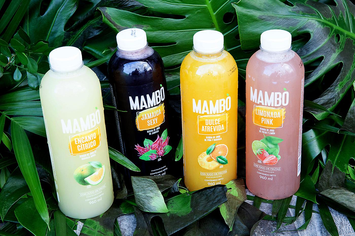 Diferentes presentaciones y sabores de Mambo.