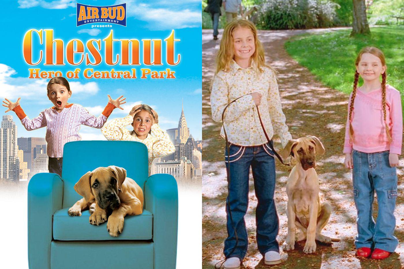 <b>Chestnut: Héroe de Central Park</b>Dos hermanas de un orfanato encuentran un cachorro. Cuando son adoptadas por una pareja en Central Park, lo llevan a escondidas. Incluso en un apartamento grande, es un desafío esconder y alimentar a un gran danés en crecimiento.