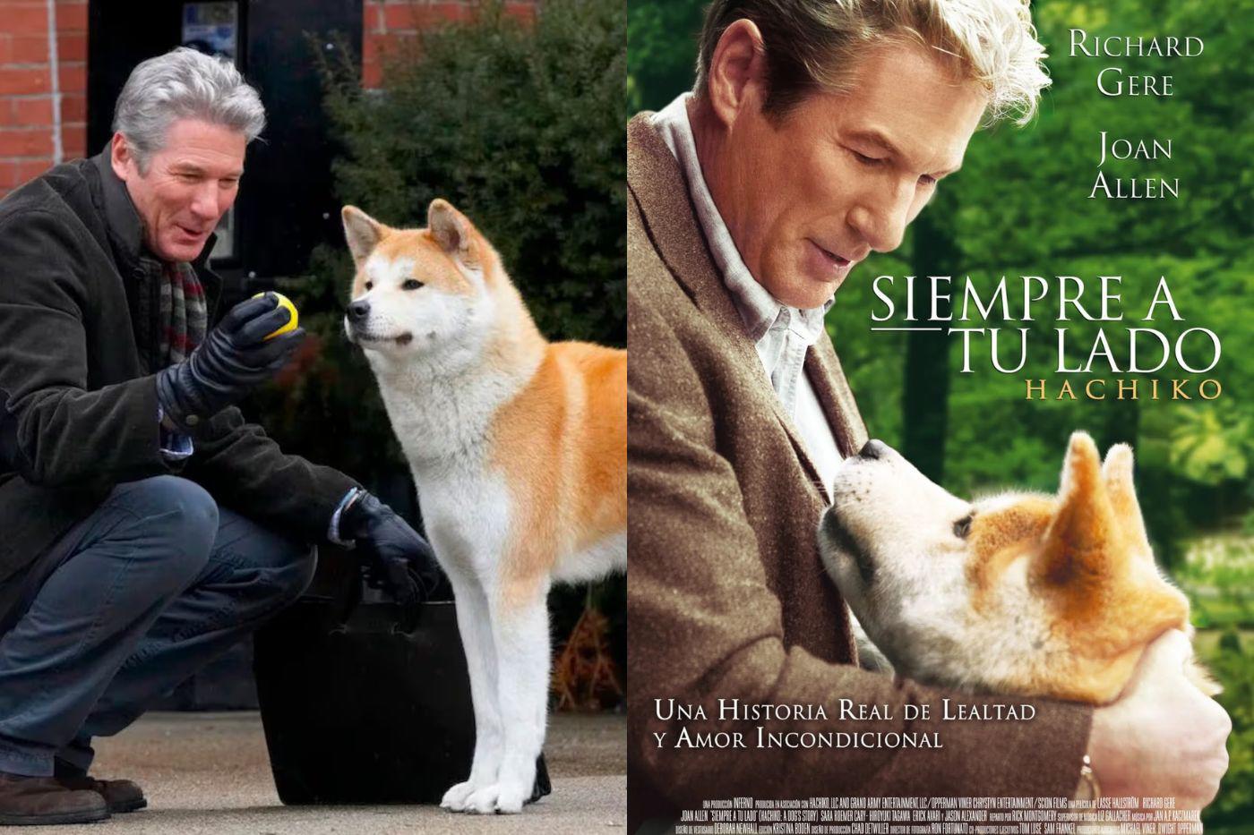 <b>Siempre a tu lado, Hachikō</b>Un profesor universitario entabla un vínculo profundo y duradero con un perro que encuentra inesperadamente abandonado en una plataforma de tren solitario, transformando la vida de ambos.