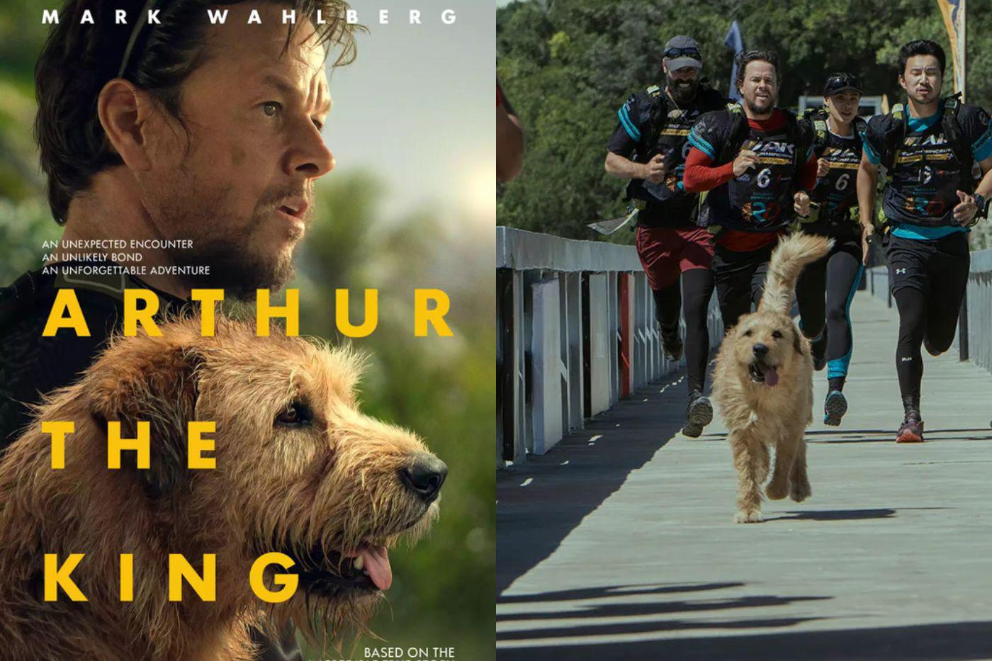 <b>Arthur: una amistad sin límites</b>Basada en una increíble historia real, a lo largo de diez días y 700 kilómetros, se forja un vínculo inquebrantable entre el corredor de aventuras profesional Michael Light (Mark Wahlberg) y un intrépido perro callejero llamado Arthur. 