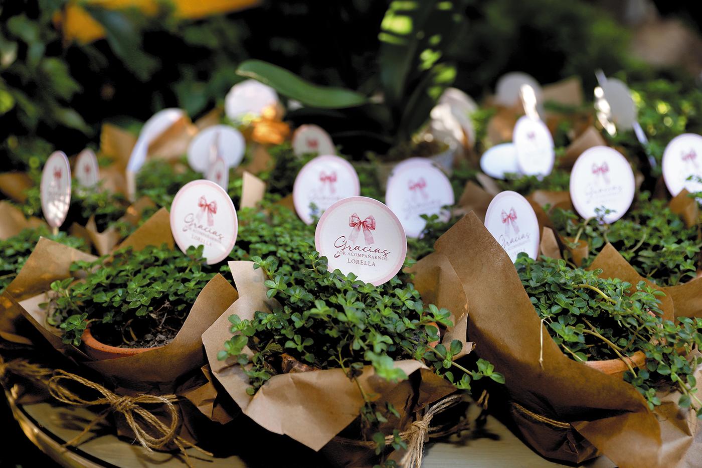 Las invitadas recibieron comorecuerdo plantas en versión mini