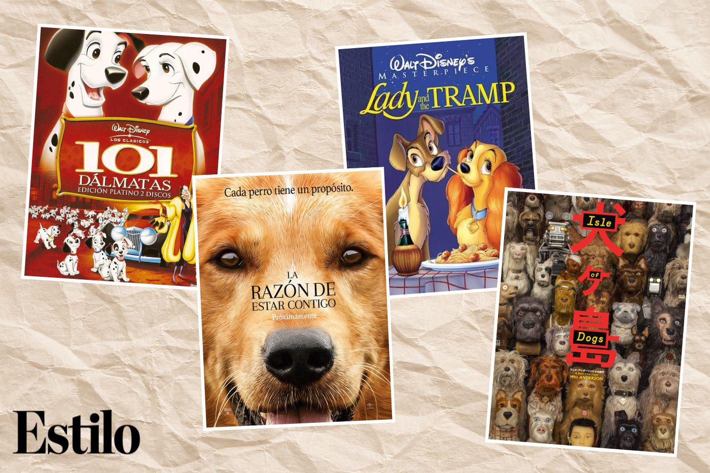 El Día Mundial del Perro, establecido en 2004 por la Organización Mundial de Protección Animal (WSPA), es la ocasión ideal para maratonear películas que presentan a nuestros amigos peludos como protagonistas. Así que prepara snacks para ti y tu mascota y disfruta viendo una de estas 12 películas con tu compañero de cuatro patas.