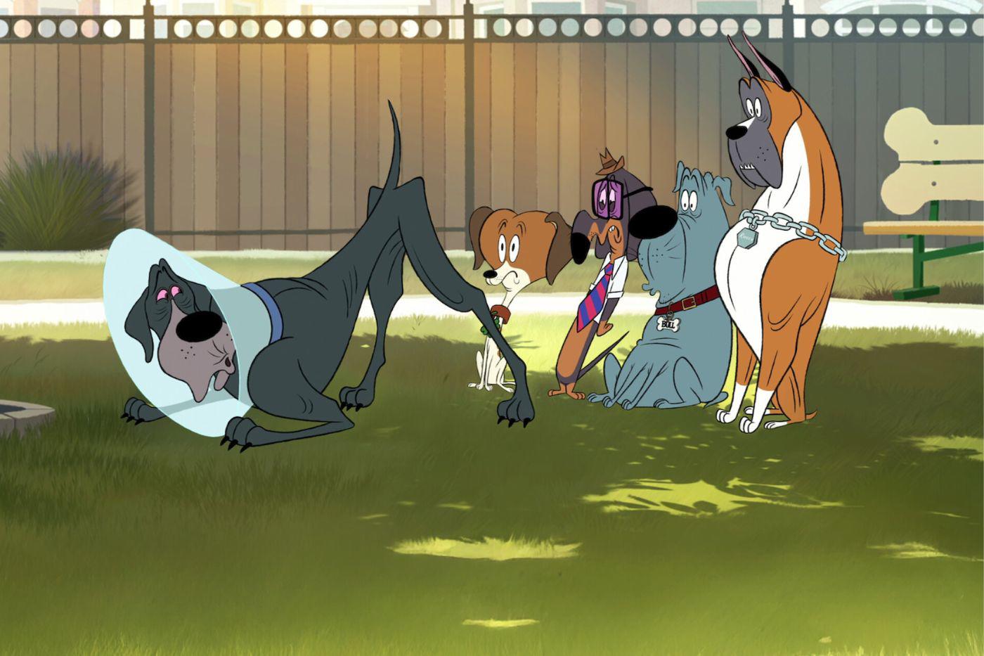 <b>Despelote.</b><i><b> </b></i>Esta comedia animada para adultos, dirigida por Genndy Tartakovsky, conocido por otras animaciones como “Samurai Jack” y “El laboratorio de Dexter”, sigue la historia de un perro quien al enterarse de que lo van a castrar, tiene 24 horas para vivir su última aventura con sus amigos caninos. Llegará a la plataforma el 13 de agosto de 2025. 