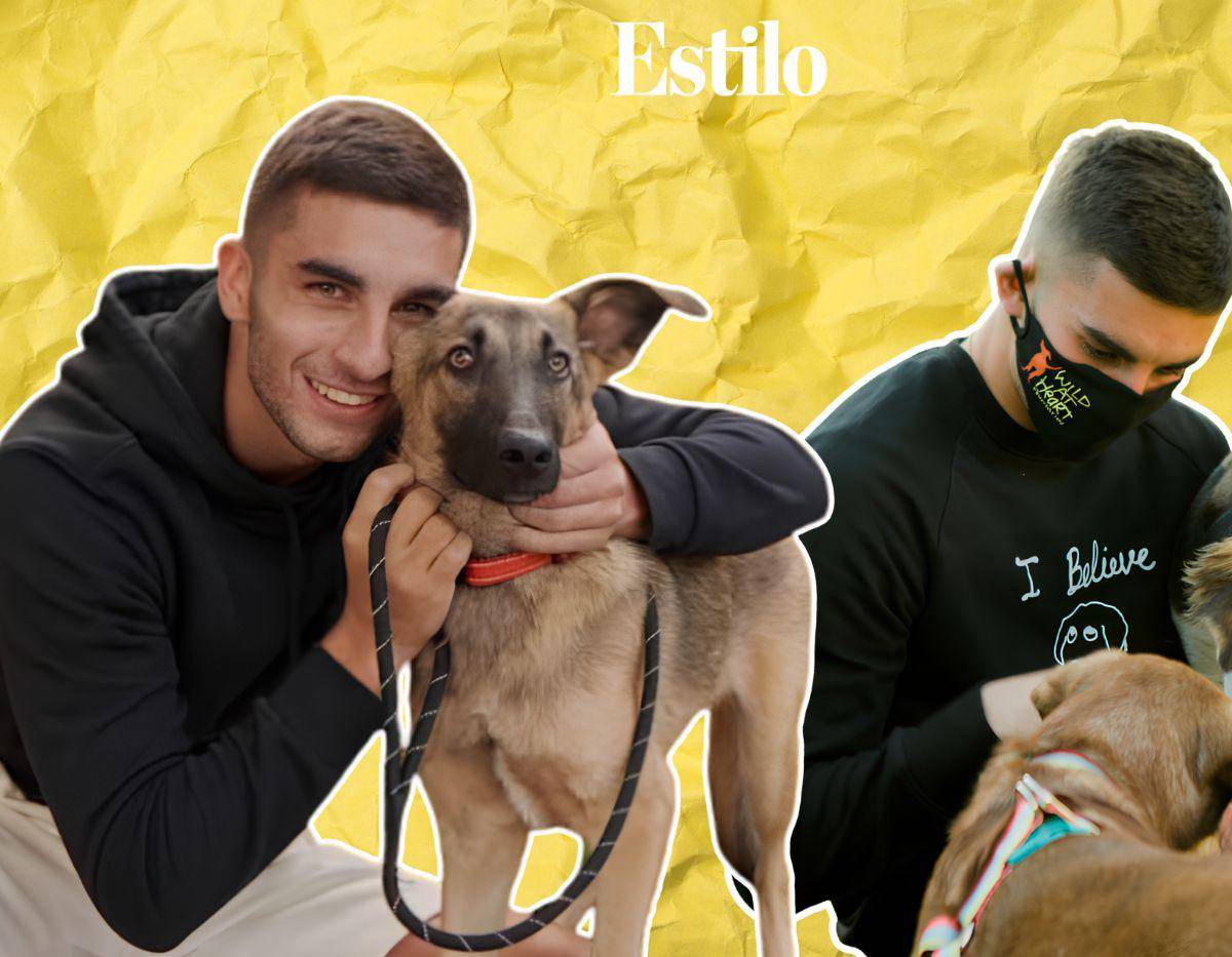 Ferran Torres, el nuevo campeón del mundo, es rescatista de perros