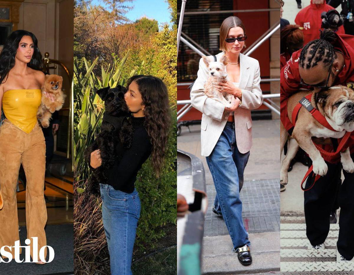 Desde Zendaya con Noon hasta Ariana Grande con Toulouse, es probable que reconozcas alguno de estos perritos por sus célebres dueños, ya sea por sus posts en Instagram o por fotos tomadas por los paparazzi. Así que, si eres amante de los perros, seguro que vas a disfrutar de ver cómo estas estrellas adoran a sus amigos peludos.