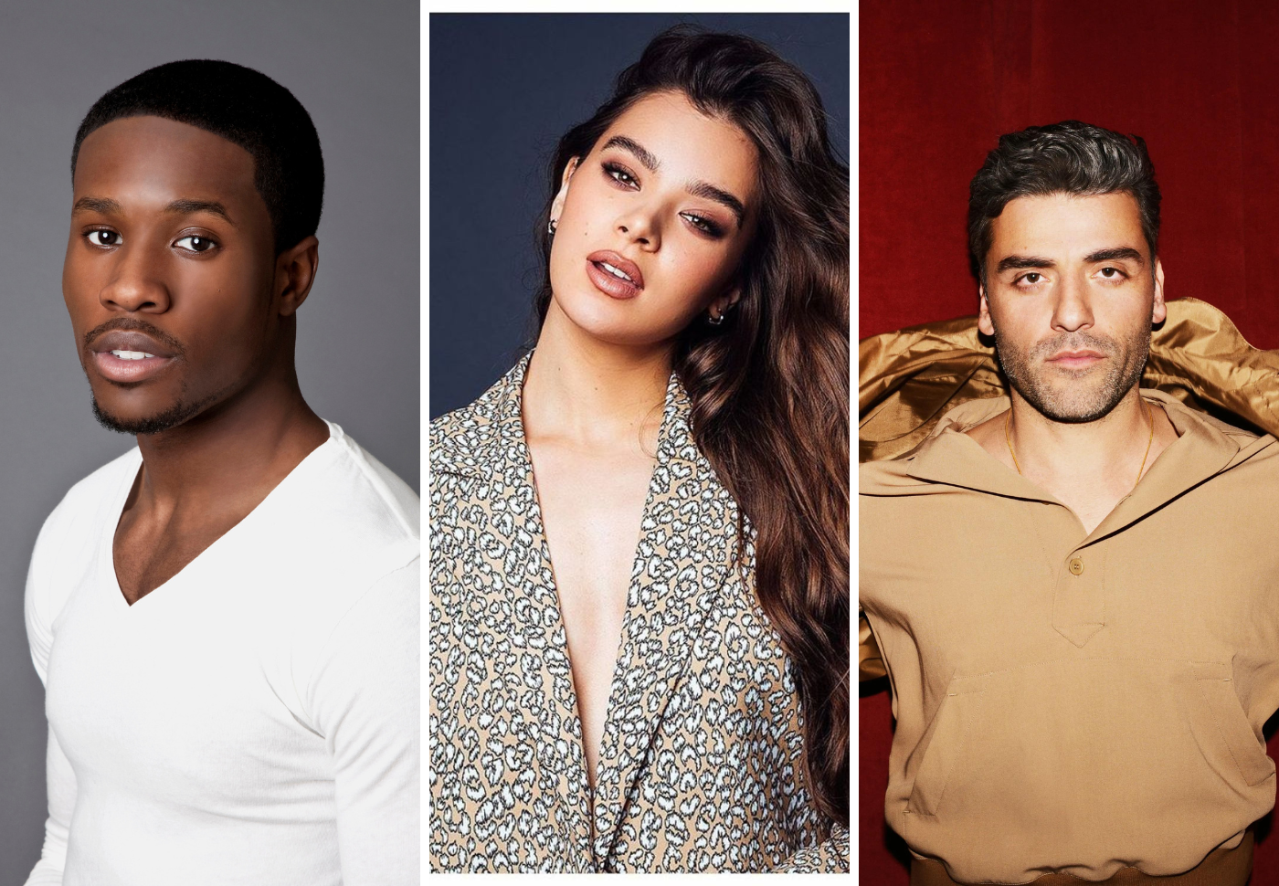 La película cuenta con un reparto de lujo en las voces originales, destacando a Shameik Moore como Miles Morales, Hailee Steinfeld como Gwen Stacy, Jake Johnson como Peter B. Parker y Oscar Isaac como Miguel O’Hara, también conocido como Spider-Man 2099, quien hizo su aparición en la escena post-créditos de la primera película