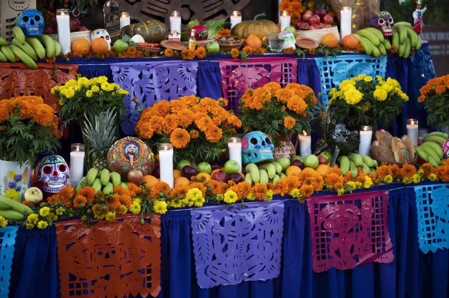 <b>Inauguración del Altar de Muertos</b> El jueves 2 de noviembre a partir de las 6 de la tarde en el lobby de la Sala de Arqueología del Museo de Antropología e Historia se llevará a cabo la inauguración del Altar de Muertos. Este año la “La pieza del Mes” es dedicada a Teresa Campos de Pastor, (Q.D.D.G.) directora del Museo de Antropología. El Altar estará expuesto durante todo el mes de Noviembre para que los visitantes puedan admirar parte de la cultura mexicana.