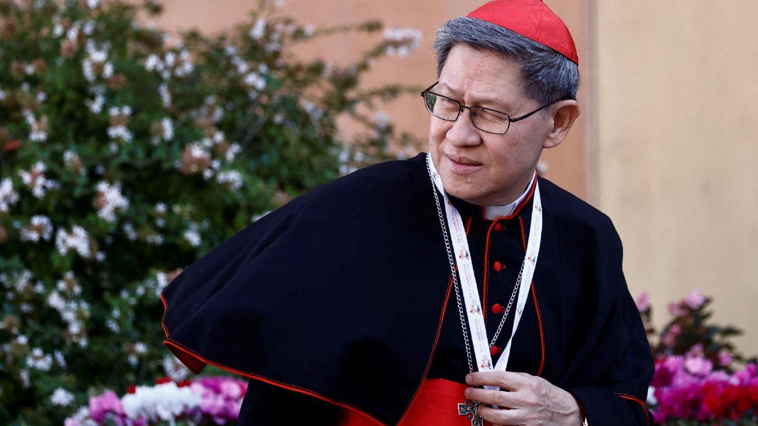 <b>Cardenal Luis Antonio Tagle</b>Arzobispo emérito de Manila, Filipinas, Tagle es conocido por su estilo pastoral cercano y su enfoque en la lucha contra la pobreza. A sus 67 años, es considerado un candidato fuerte debido a su carisma y popularidad dentro de la Iglesia.